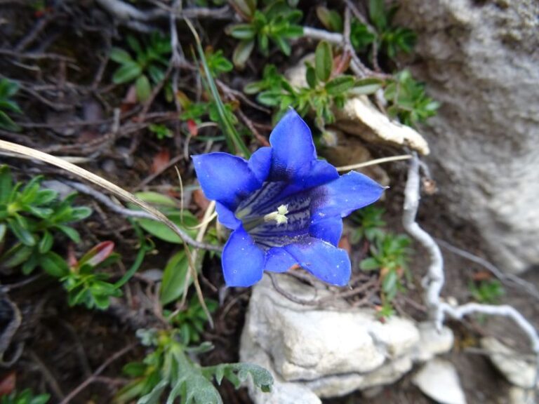 Experience healing power KEY PHOTO 2 800 x 600 pixels 768x576